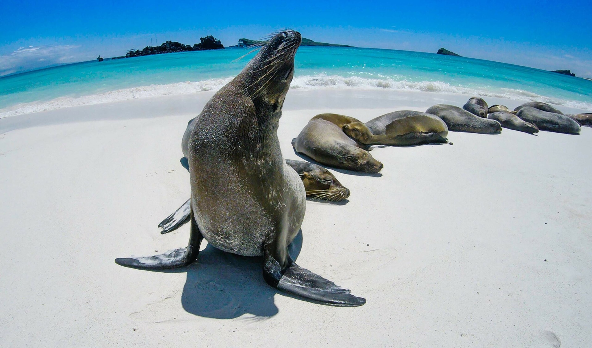 Destinos turisticos Galápagos